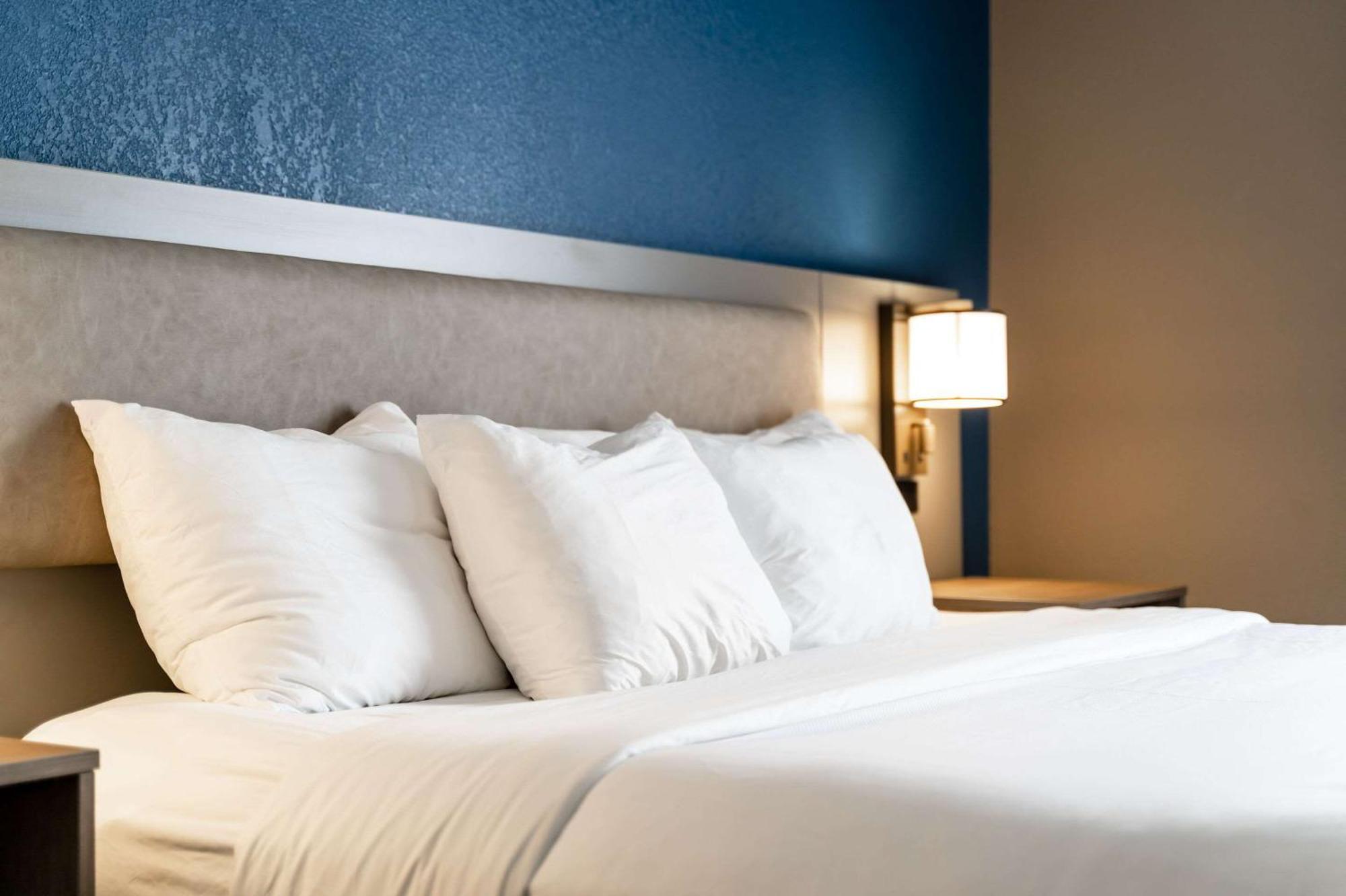 Comfort Suites Columbia Northeast - Fort Jackson Esterno foto